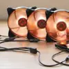 Cooler Master Cabo Splitter Extensão 580mm Fêmea Fêmea RGB