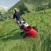 Sony Farming Simulator 19 Premium Edition PlayStation 4 Conteúdo adicional