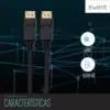 Ewent Cabo DisplayPort 3m 8K