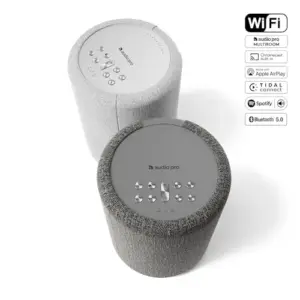 Audio Pro A10 MKII WiFi Bluetooth Cinzento Escuro