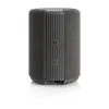 Audio Pro A10 MKII WiFi Bluetooth Cinzento Escuro