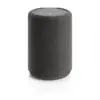 Audio Pro A10 MKII WiFi Bluetooth Cinzento Escuro