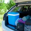 Campingaz Geleira Icetime Plus 30L Resistente Refrigeração até 27h
