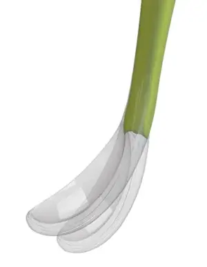 Chicco Conjunto Colher Macia Silicone 6M+ Verde