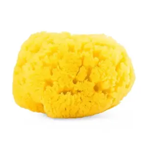 Chicco Esponja Natural Grande