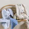 Doudou Nattou Coelhinho Lapidou Azul Pastel 65cm