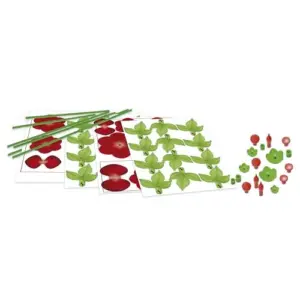 Educa Kit de Arte Floral Ramo de Rosas Vermelhas para A partir de 14 Anos