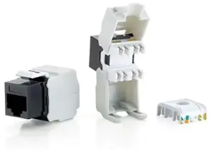 Equip 769211 Conectores RJ-45 Unshielded Certificados Dorados