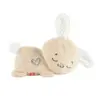 Fisher-Price Peluche Coelhinho Dorme Bébê Sons Relaxantes