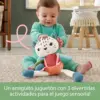 Fisher-Price Peluche Sensorial Leopardo das Neves Brinquedo de Estímulo Sensorial para Bebês a partir de 3 meses