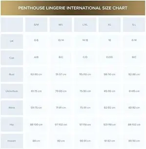 Penthouse Dark Wish Bodystocking Preto 36-40 S/L