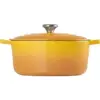 Le Creuset Panelas Ferro Fundido 6,7L Nectar Evolução