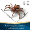 LEGO Harry Potter Aragog na Floresta Proibida 76434 Mágico