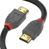 Lindy Hi-Speed Cabo HDMI 3m Preto