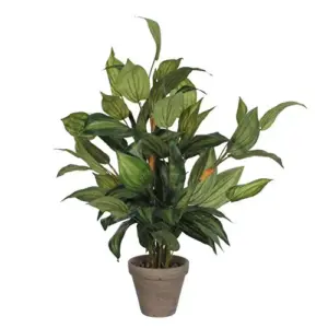 Mica Decorations Planta Artificial Hosta Verde 40x40x65cm