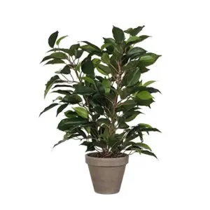 Mica Decorations Vaso Cerâmica Verde PVC Ficus 40x30cm