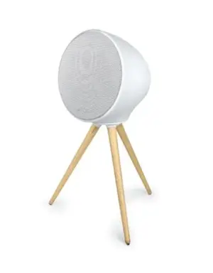 Muse ML-655BT 100W Bluetooth Portátil