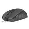 Natec Hoopoe 2 Mouse 1600DPI USB Preto