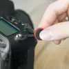 Peak Leash V3 Ash Correia com Ajuste Rápido