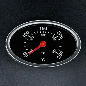 Severin PG 8541 Elétrico 2000W Churrasco