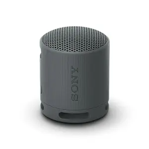 Sony SRS-XB100B Compact Bluetooth Preto