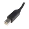 Startech USB a – USB B Cabo 5 Mts