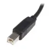 Startech USB a – USB B Cabo 2M Conector