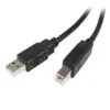 Startech USB a – USB B Cabo 2M Conector