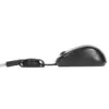 Targus AMU75EU Mouse Óptico 1000 DPI USB Preto