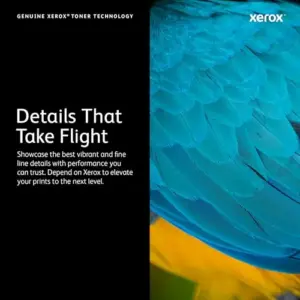 Xerox 108R00933 Toner Amarelo 4400 páginas