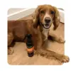 Animology Spray Desodorante Seco para Cães 250 ml