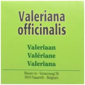 Biover Valeriana Equilíbrio Espiritual 50ml