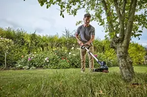 Black+Decker BCSTE636L1 36V 33cm