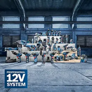 Bosch GEX 12V-125 Lixadora Excêntrica