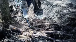 Bosch Lâmina de Serra Sabre Expert Tough Wood S 1142 Khm