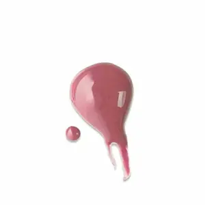 Bourjois Fabuleux Gloss Nutritivo Tom 07 Brilho