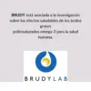 Brudylab Brudy Derm Dry Eye Gel para olhos secos 10ml
