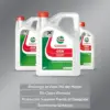 Castrol Óleo de Motor GTX 5W-30 RN17 5L