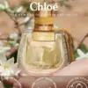 Chloé Nomade Naturelle Eau de Parfum 75ml
