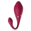 Cici Beauty Vibrador Controle Remoto Silicone Egg