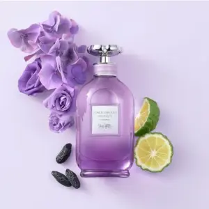 Coach Dreams Moonlight Eau De Perfume 60ml