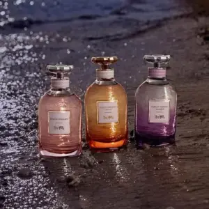 Coach Dreams Moonlight Eau De Perfume 90ml