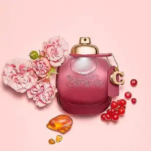 Coach Wild Rose Woman Eau de Parfum 90ml