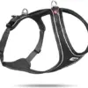 Curli Peitoral Belka Comfort Preto XL