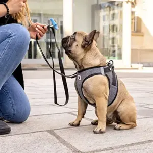 Curli Peitoral Vest Harness Merino Vermelho XS