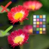 Datacolor SpyderCheckr 24 Colorímetro para foto e vídeo