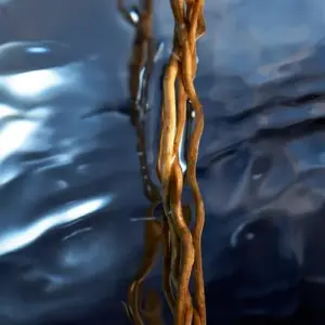 Davidoff Cool Water Reborn Man Eau de Toilette