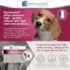 Dermoscent Atop7 Spot-on Cães Médio 4 Pipetas