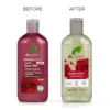 Dr. Organic Bio Rosa Damascena Shampoo 265ml
