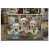 Educa Puzzle 500 Peças Mediana Cachorros na mala